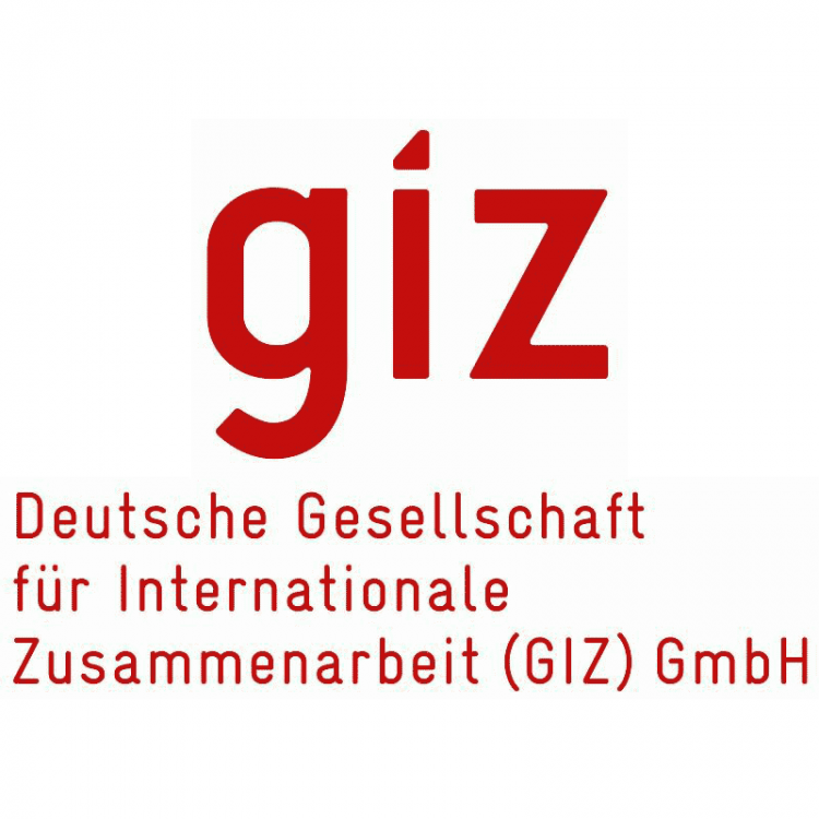 giz-logo